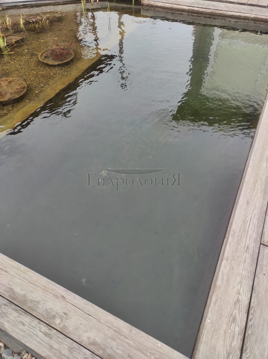 yoshkar.plav.2017.022.jpg