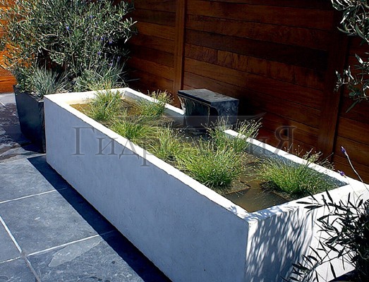 39384_landshaft_modern.jpg