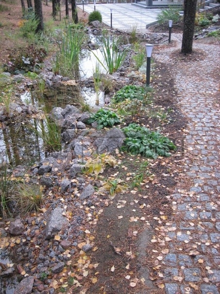 med004.2011.jpg